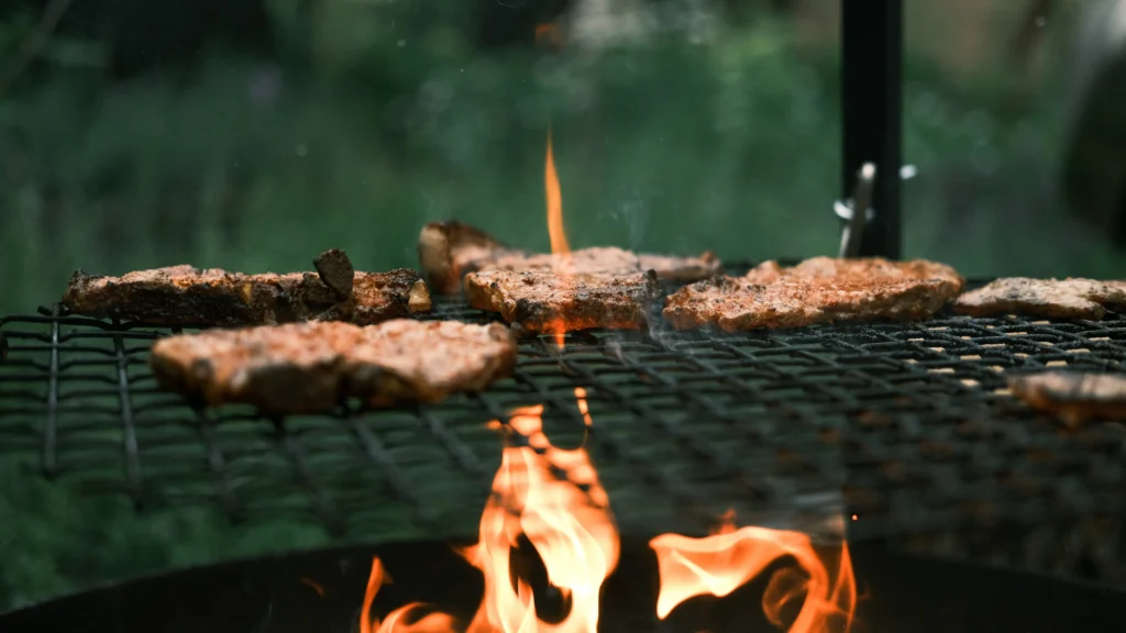 foldable campfire grates comparison